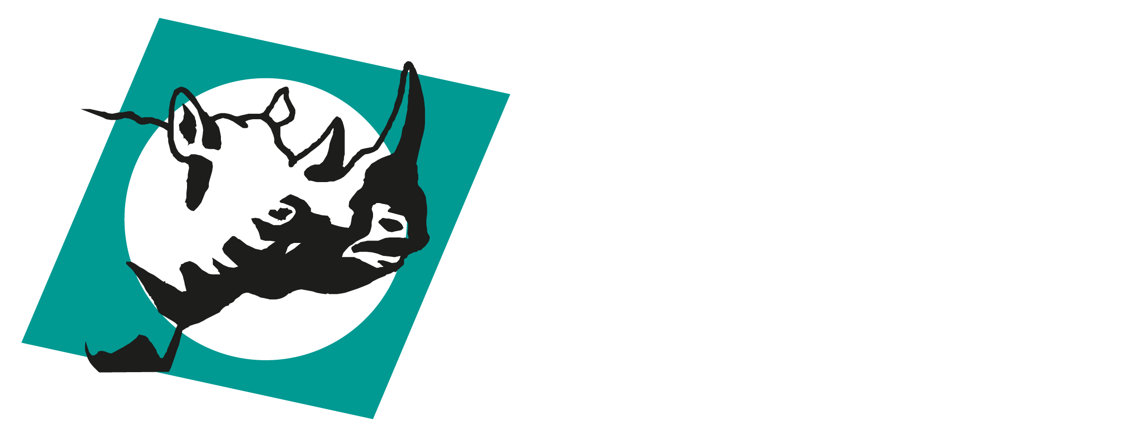 RINO Abbruch